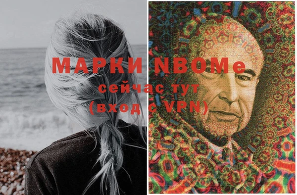 трава Белокуриха