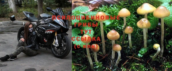 мефедрон Богородицк