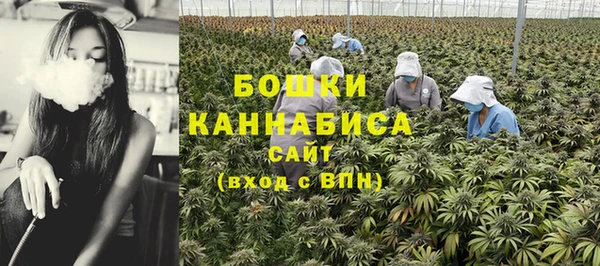тгк Богородск