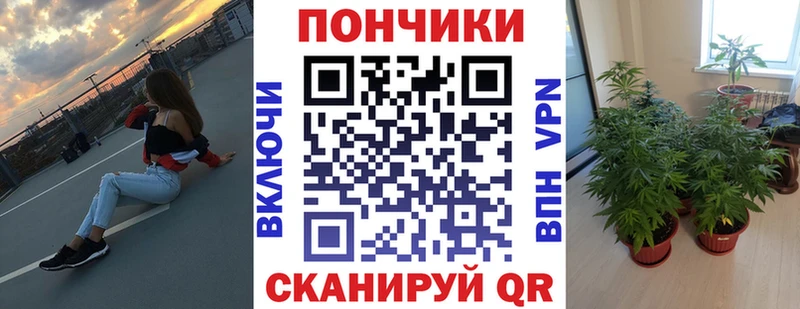 Бошки Шишки VHQ  хочу   Невель 